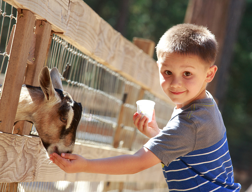 Zorg- en kinderboerderijen